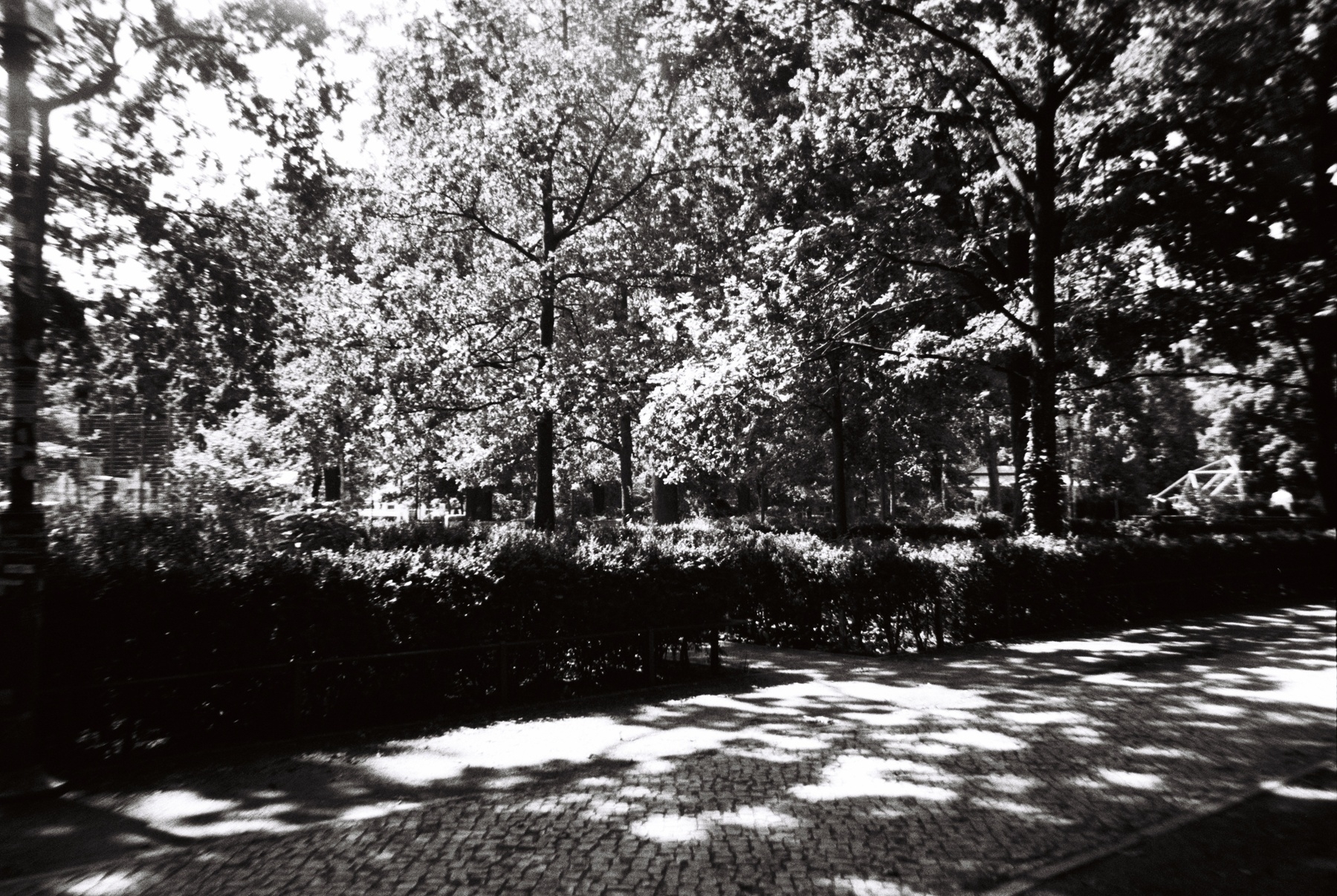 Ein Scan eines Schwarz-Weiß-Fotos, man sieht einen Park mit Bäumen und Schatten.